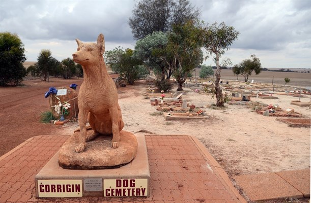 Attractions - Dog Cemetery