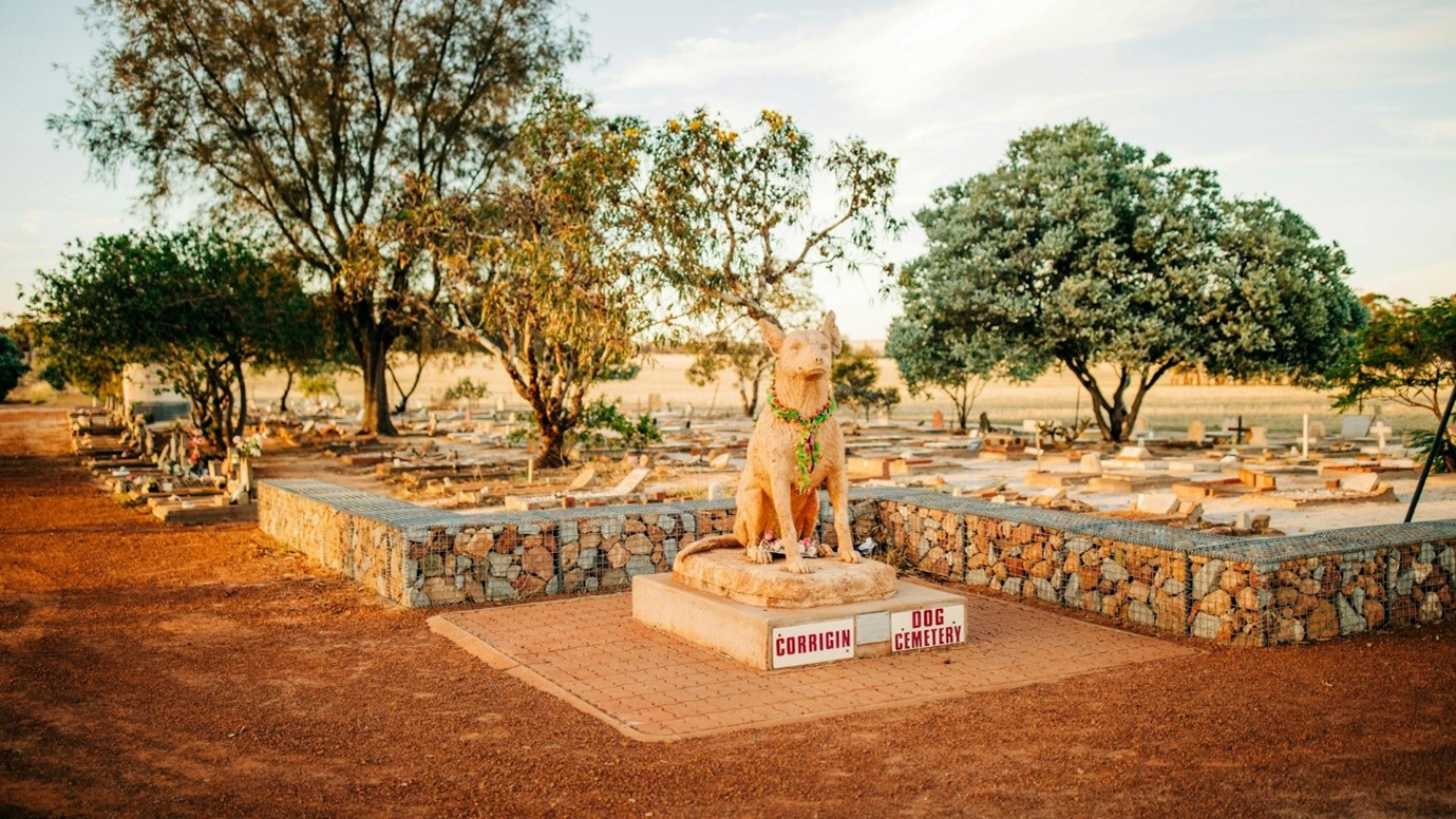Have Your Say - Dog Cemetery Policy & Guidelines