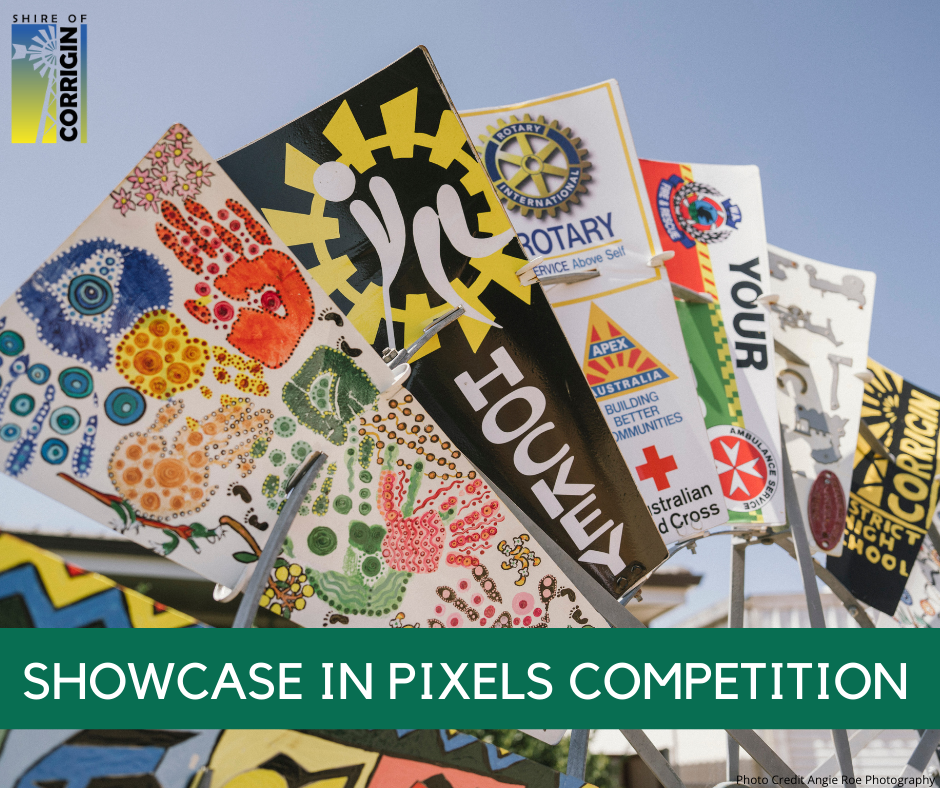 Showcase in Pixels Competition
