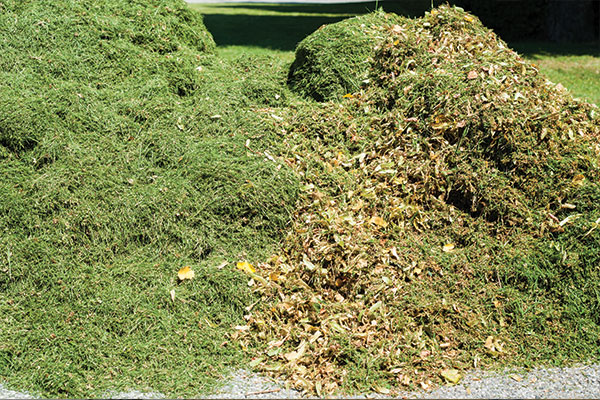 Green Waste Tip Re-Opened