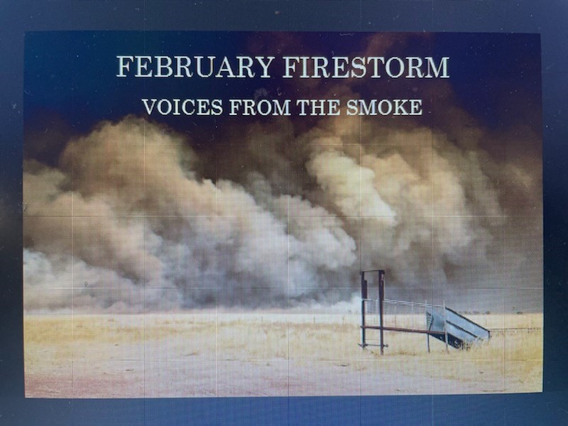 Pre-Order February Firestorm - Voices from the Smoke